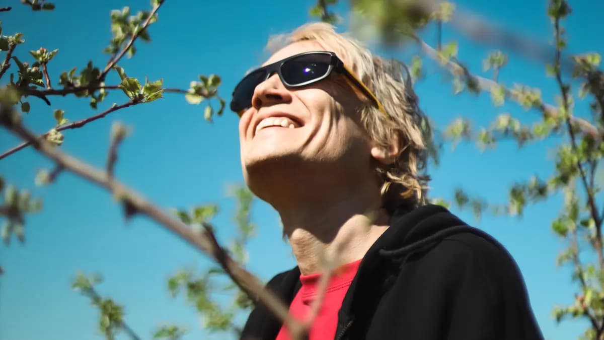 Мультфильмы (Центр современного искусства им. Сергея Курёхина)