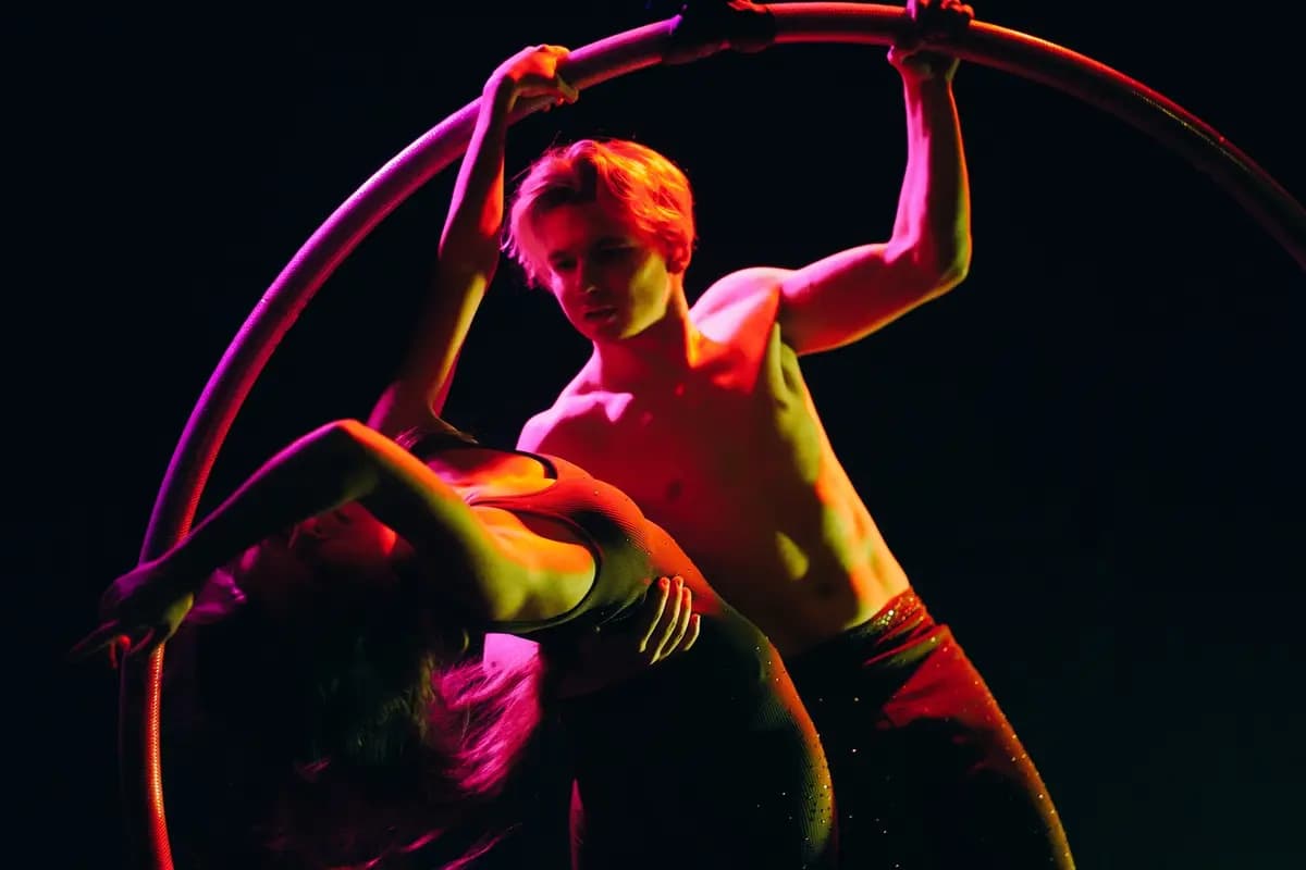 Золотая улитка (Театр «Кот»)