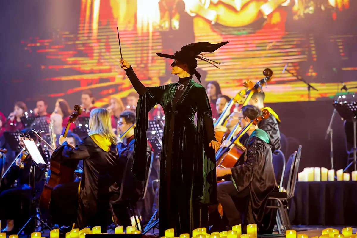 Новый год в Хогвартсе (Локомотив-Арена)