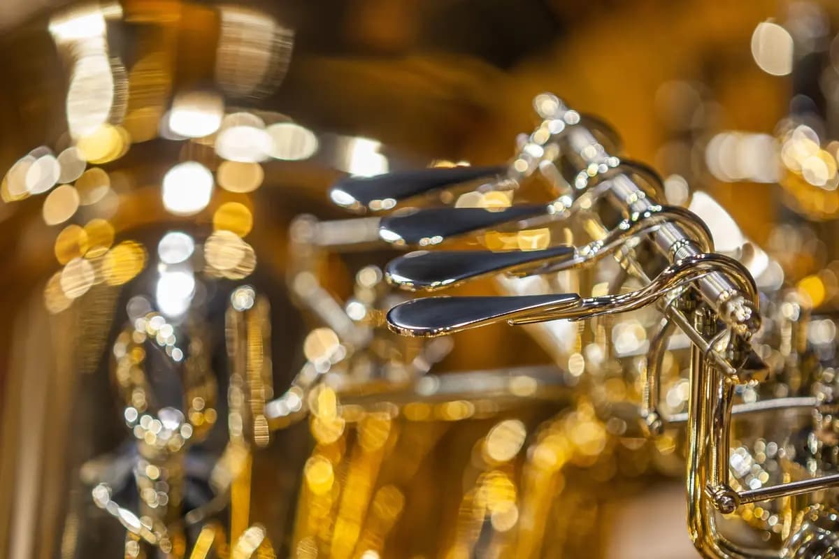 Духовые идут (Музей музыки)