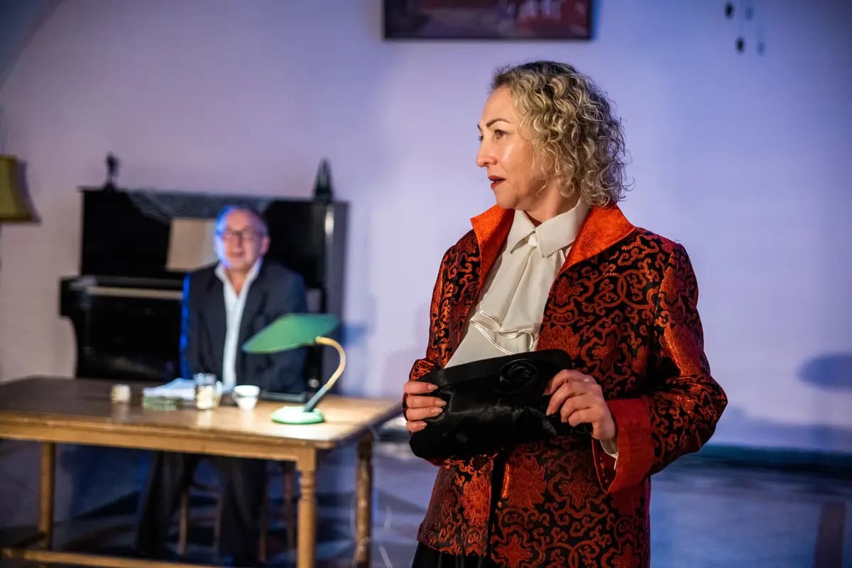 Шварц, человек, тень (Особняк Демидова)