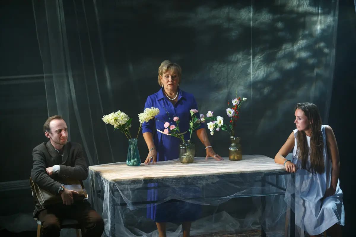 Фантазии Фарятьева (Балтийский дом)