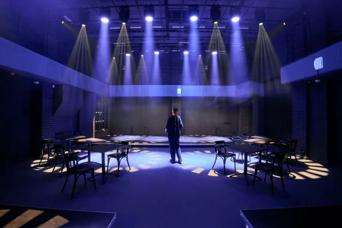 Театральная мафия (Драматический театр им. Пушкина)