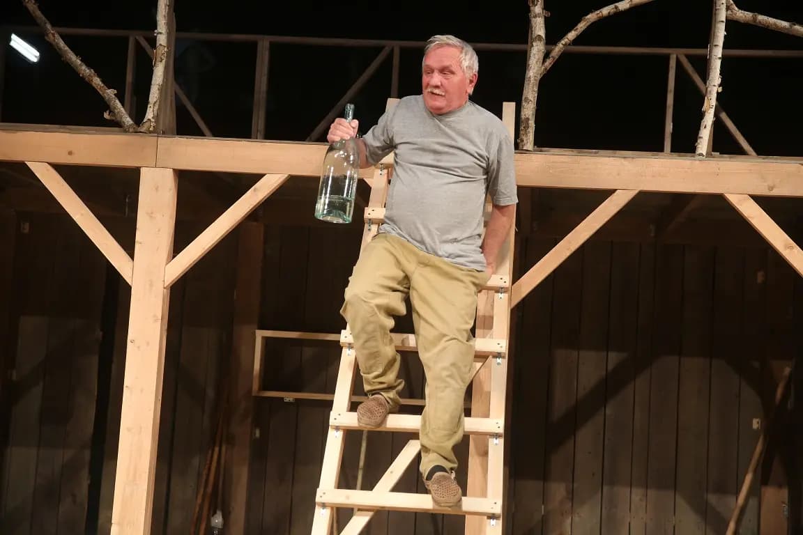 Очень простая история (Драматический театр)