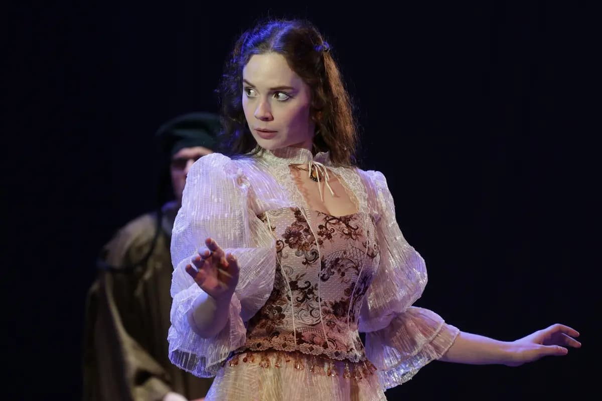 Укрощение строптивой (Драматический театр им. Гончарова)