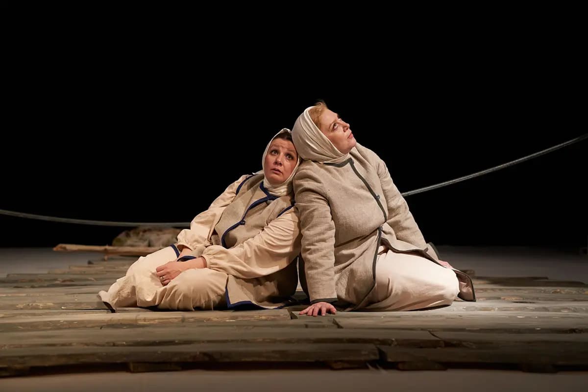 Егорушкины птицы (Новый художественный театр)