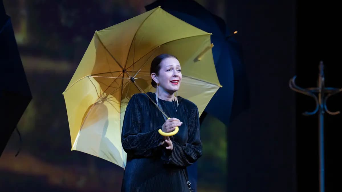 Ожидание (Театр оперы и балета)