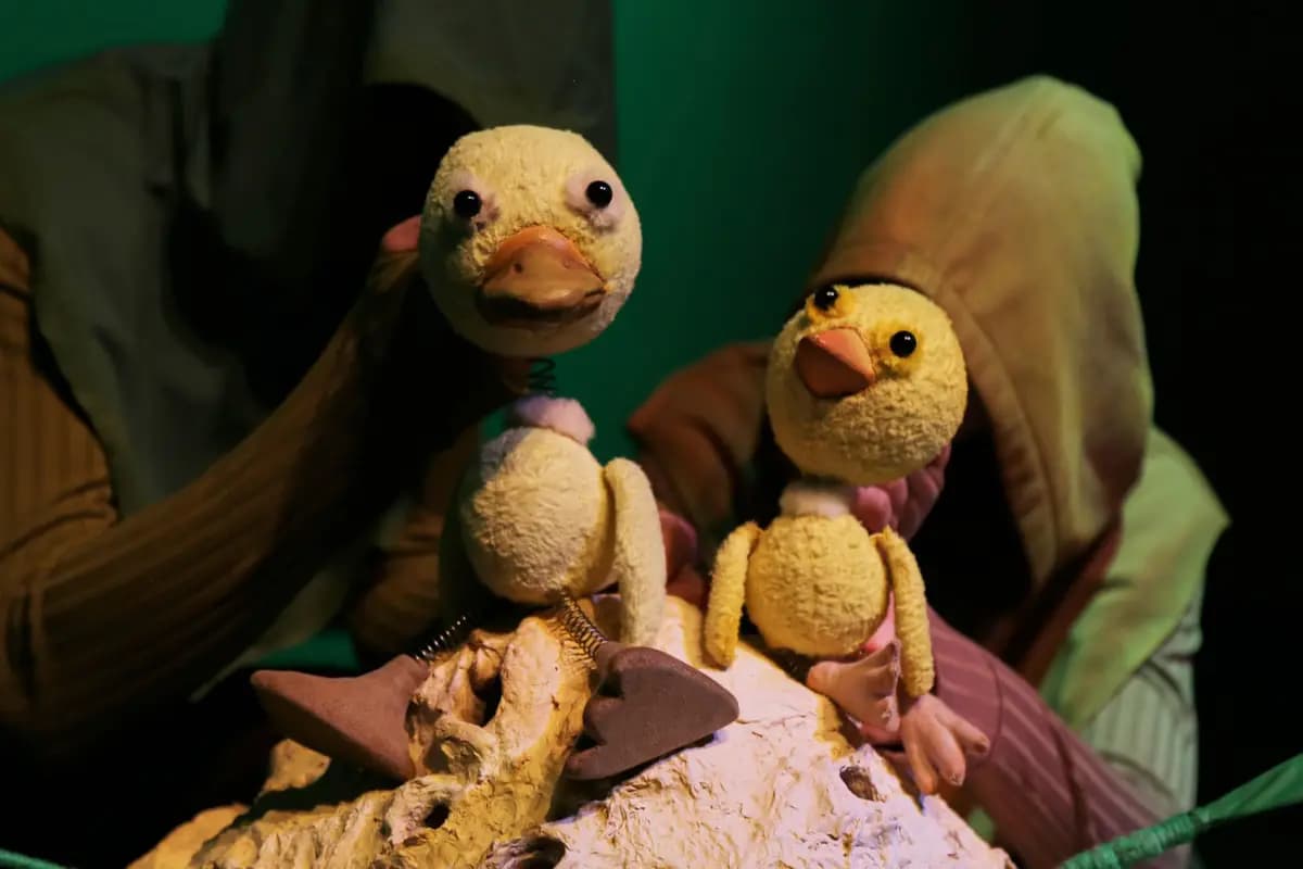 Цыплёнок и утёнок (Театр кукол)