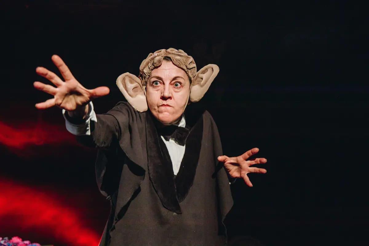 Вдовы (Малый театр кукол)