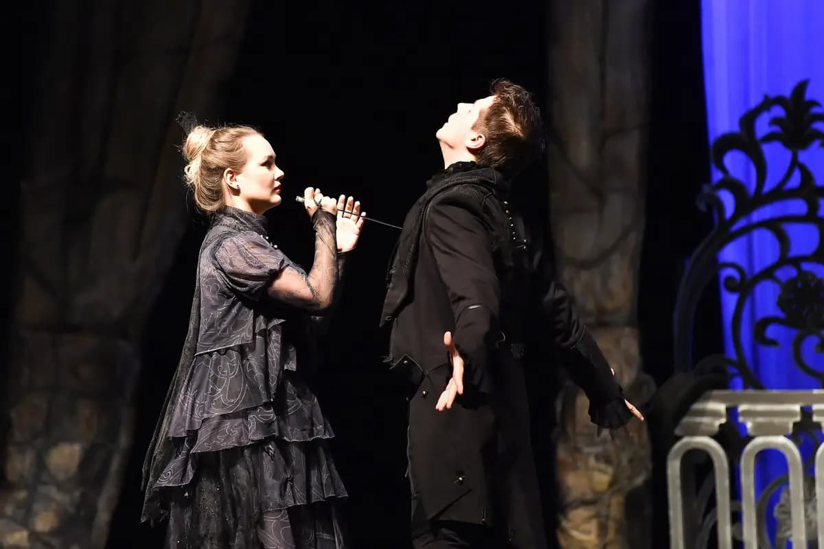 Каменный гость (Театр кукол)