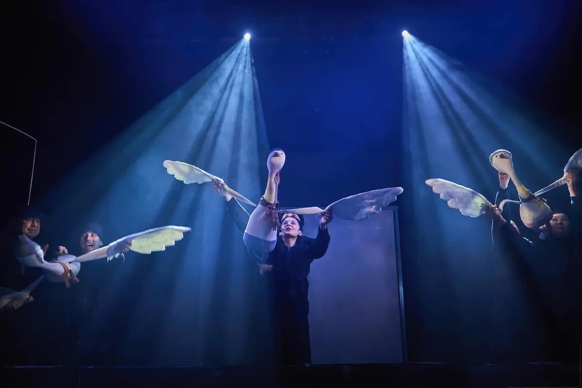 Гадкий утёнок (Областной театр кукол)