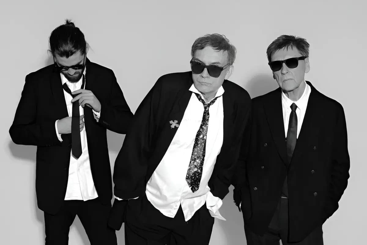 Альянс (Родня)