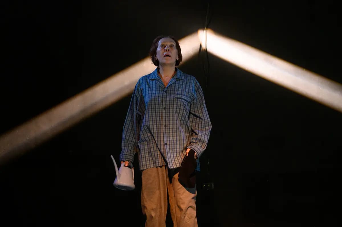 Как я стал... (ТЮЗ)