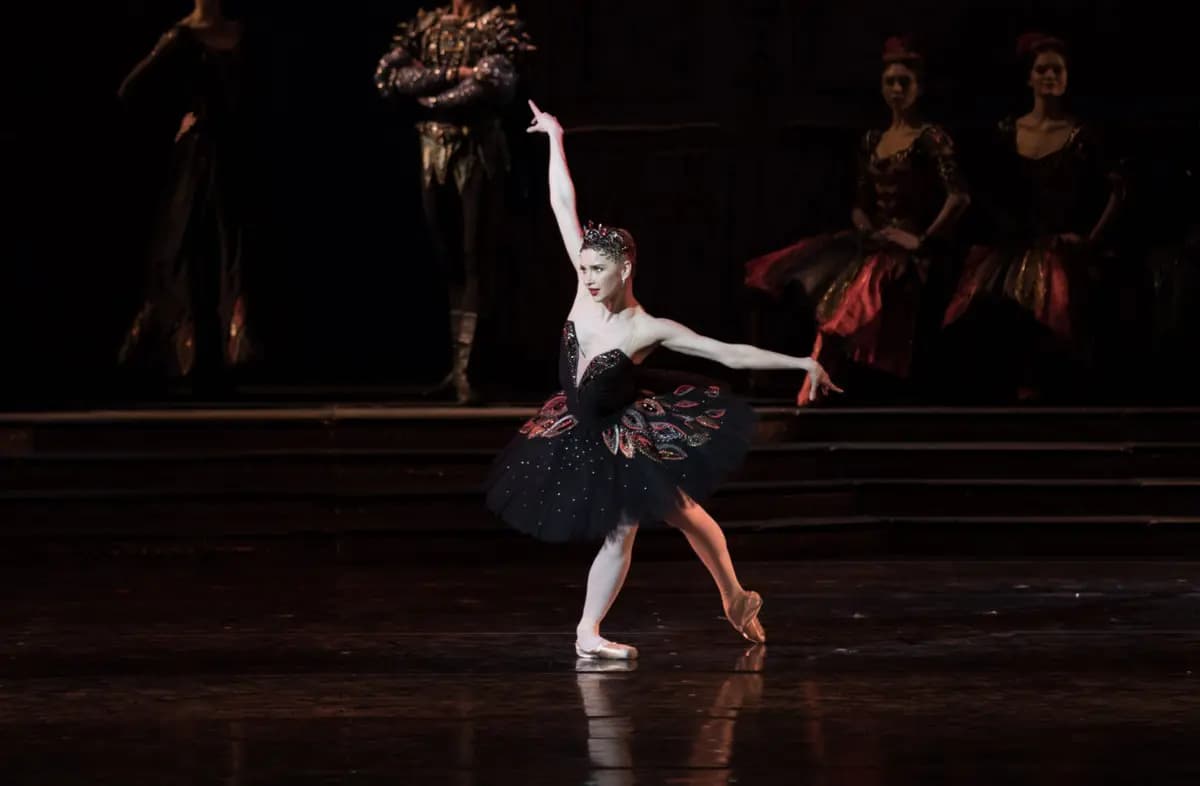 Лебединое озеро (Театр им. Станиславского и Немировича­-Данченко)