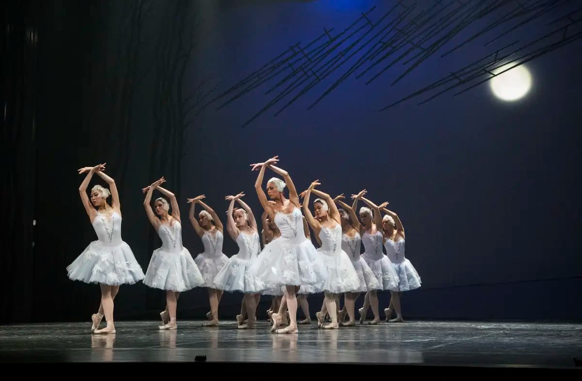 Лебединое озеро (Музыкальный театр Республики Карелия)