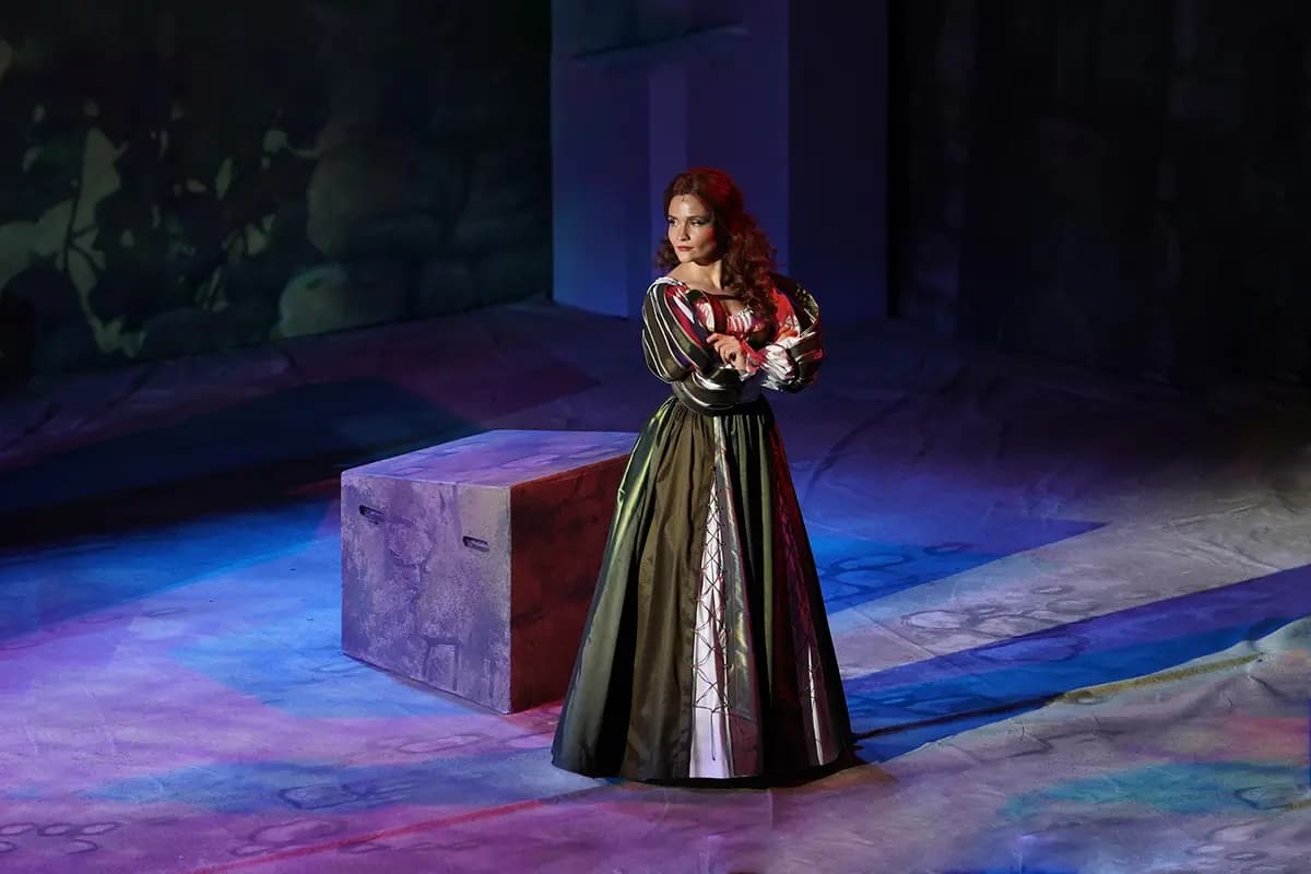 Укрощение строптивой (НОВАТ)