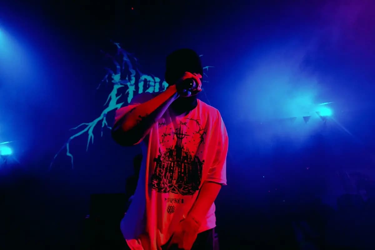 Нокту (Ласточка)