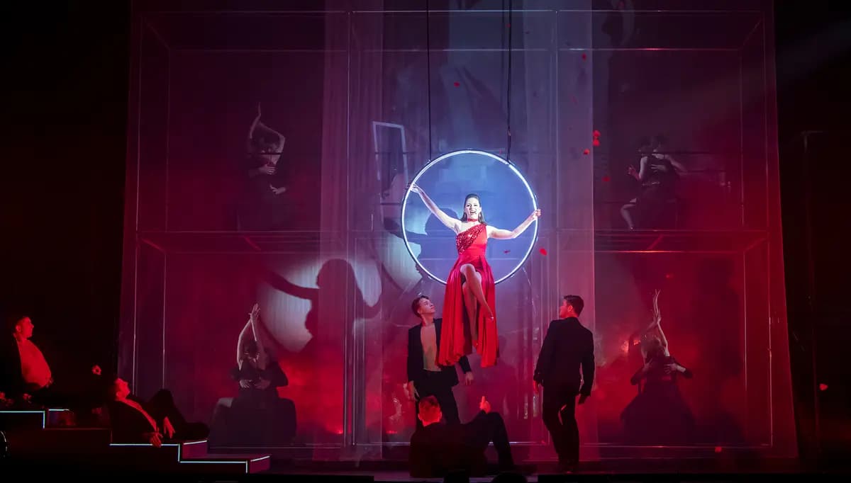 Человек, нашедший свое лицо (Музыкальный театр)