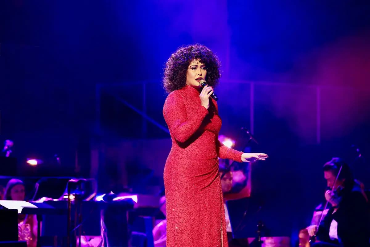 Уитни Хьюстон шоу (Дом музыки)