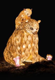 Фестиваль волшебных огней