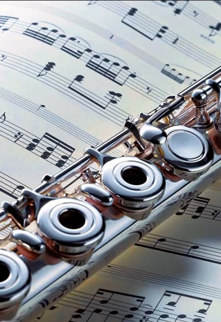 Неизведанные грани оперы. Флейта