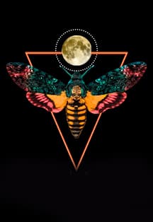 Вероника решает...