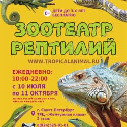 Зоотеатр Рептилий