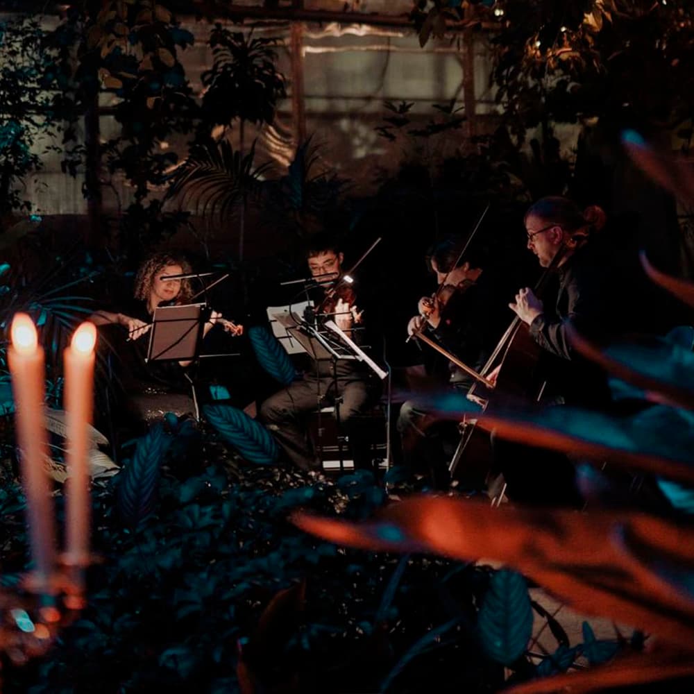 Магия свечей. «Голливудские саундтреки» в Оранжерее