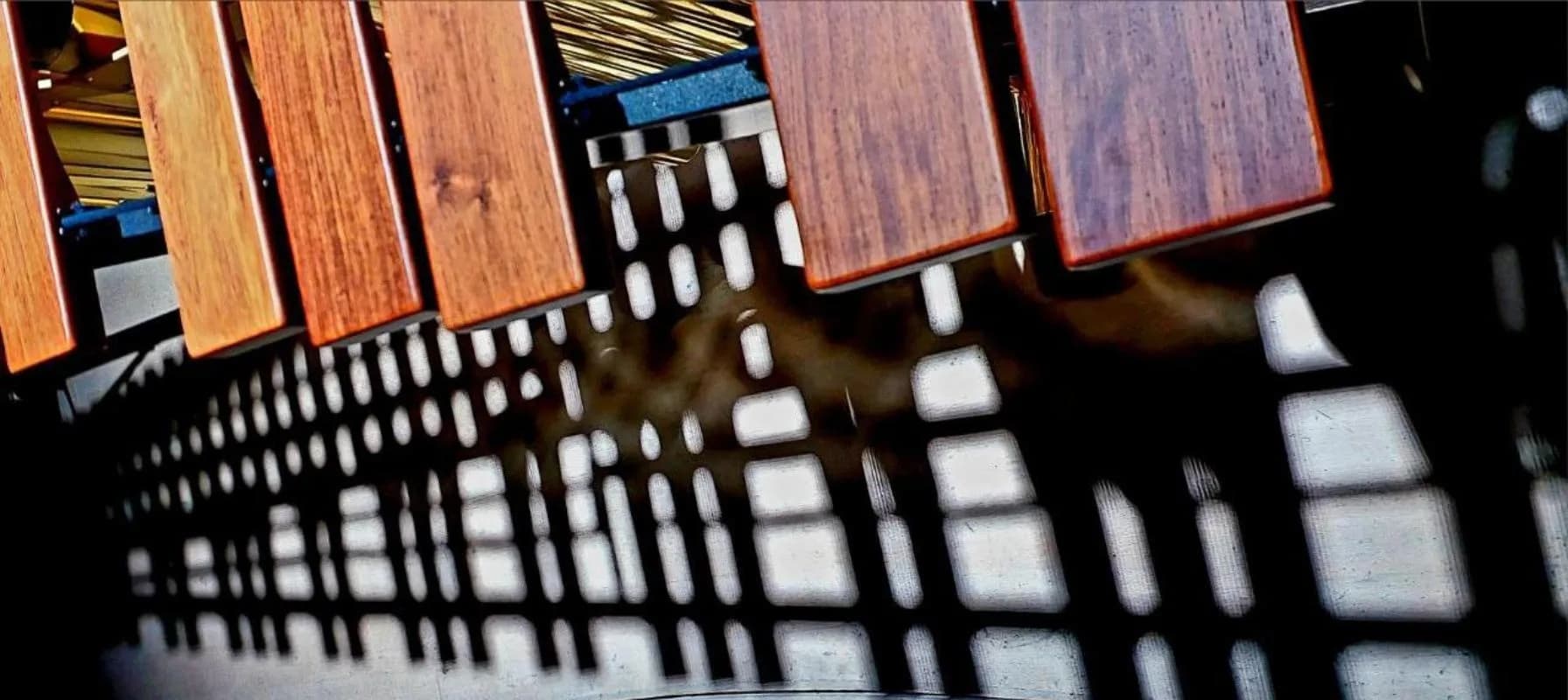 Ансамбль солистов Rhythm Synergy