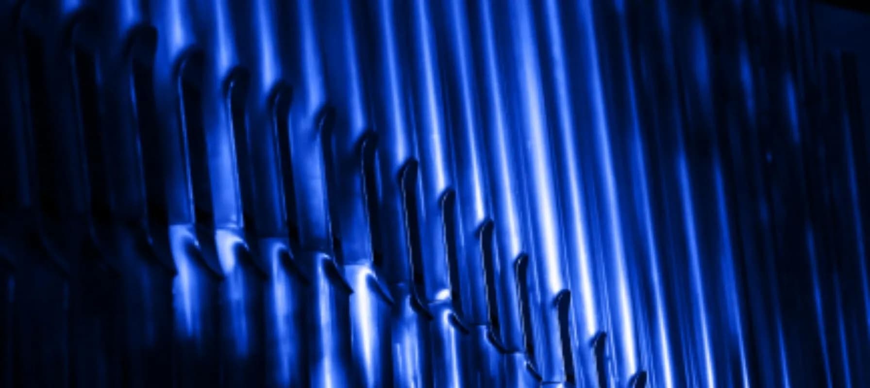 Эмануэле Карди, орган. Маркус Айхенлауб, орган