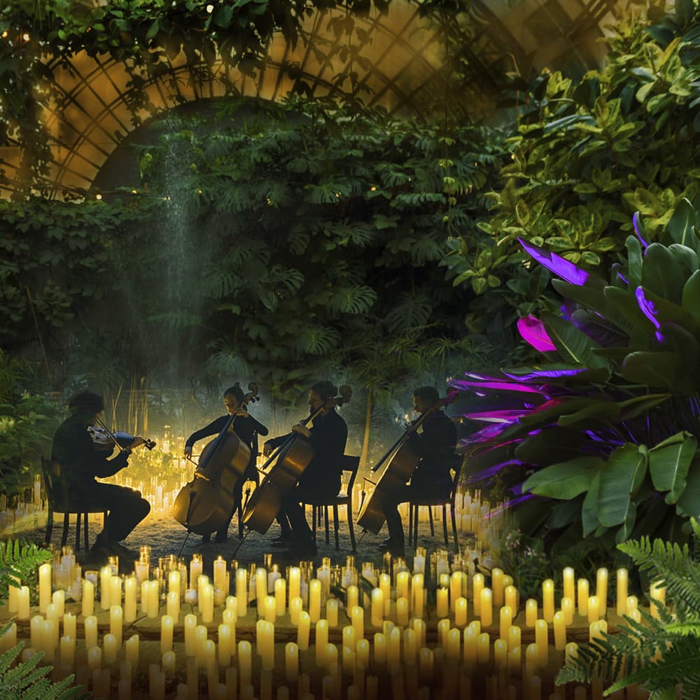 Магия свечей. Людовико Эйнауди. Шедевры неоклассики