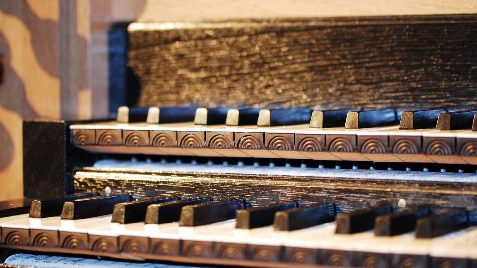 Орган при свечах: мировые шедевры и мелодия белой ночи