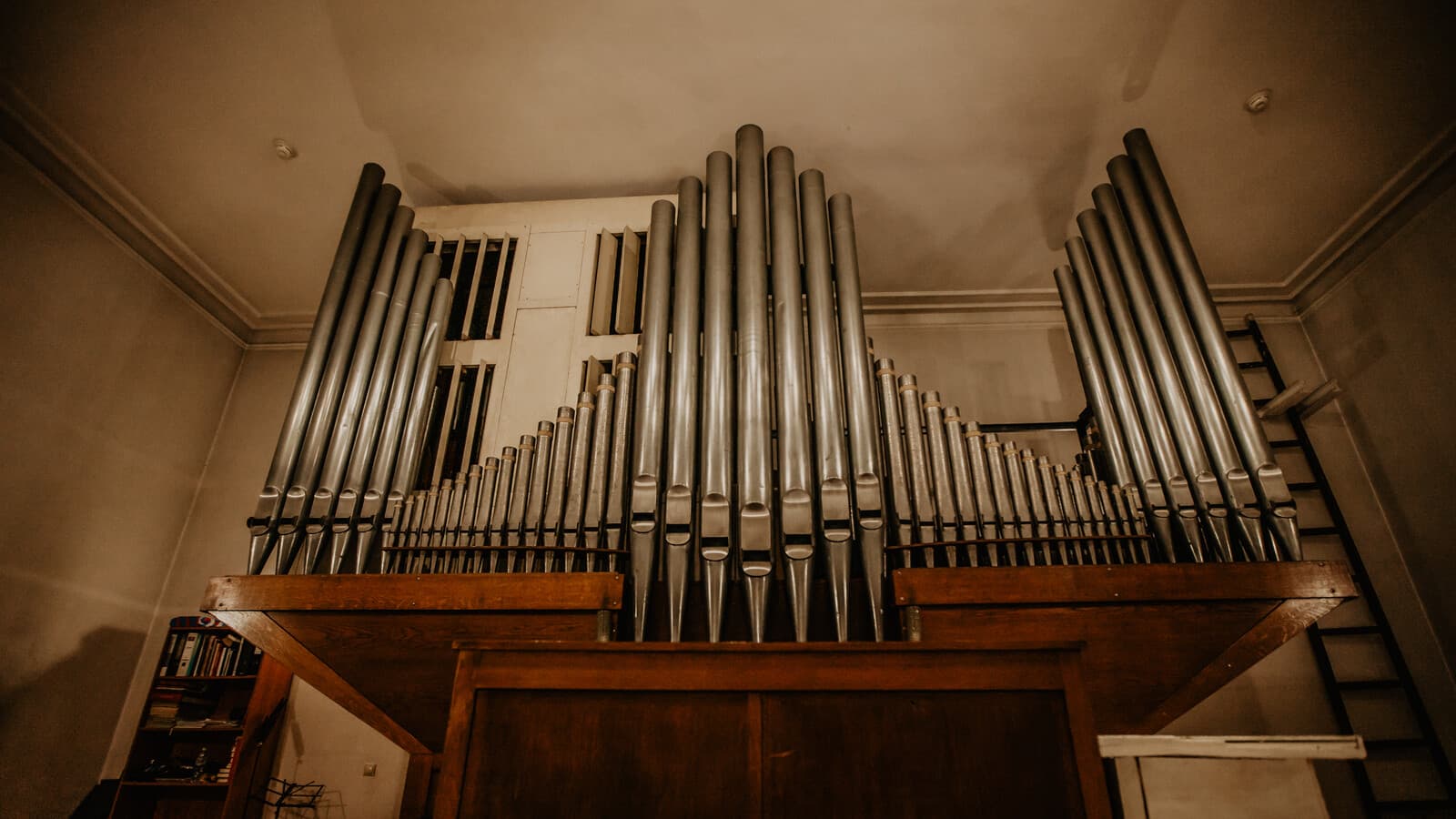 Орган и только орган