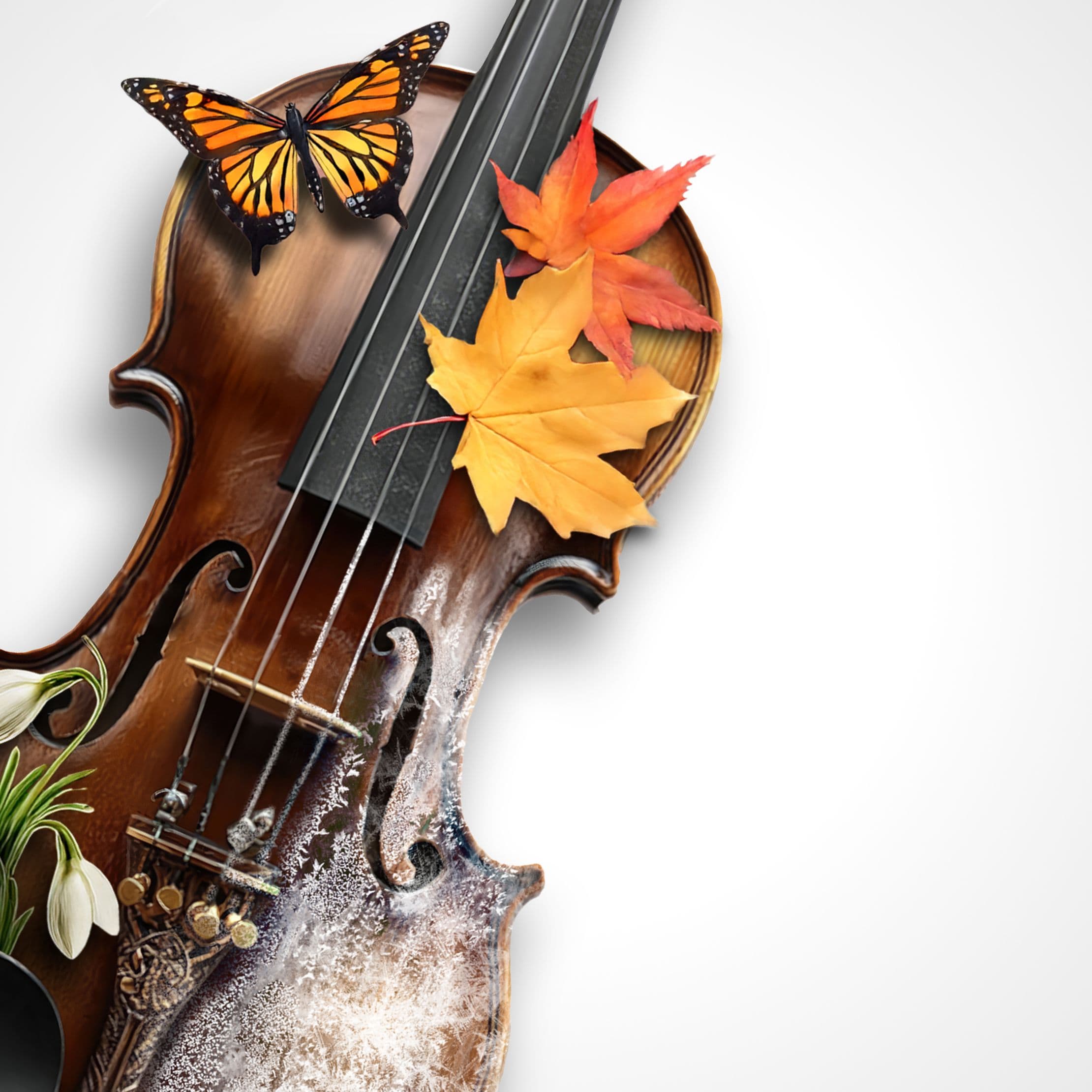 Времена года. Оркестр Империал