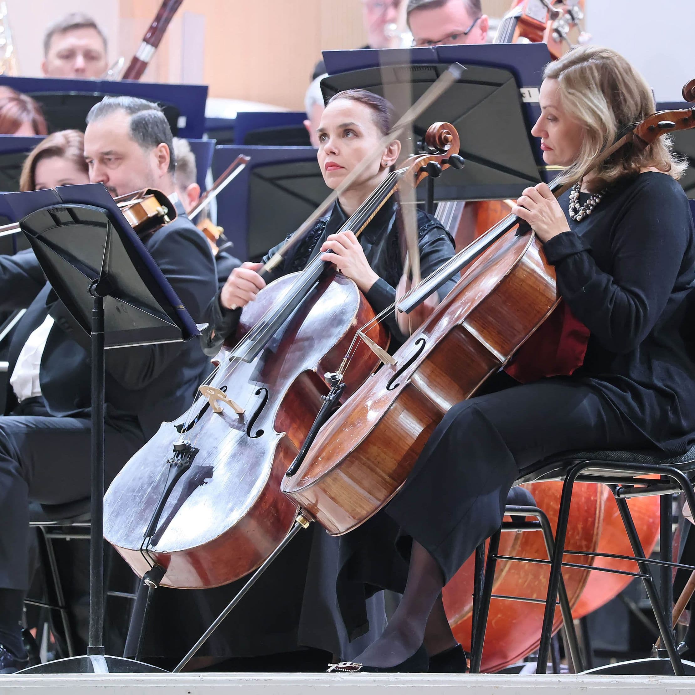 Серенады Моцарта