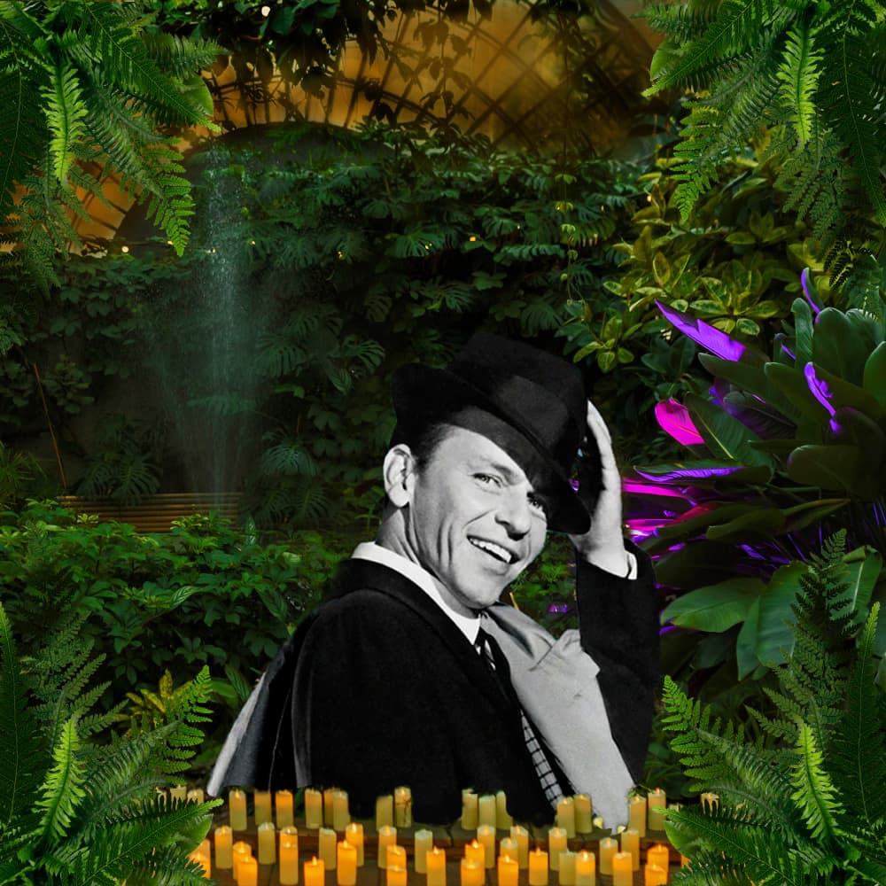 Магия свечей. Джаз. Frank Sinatra в Оранжерее