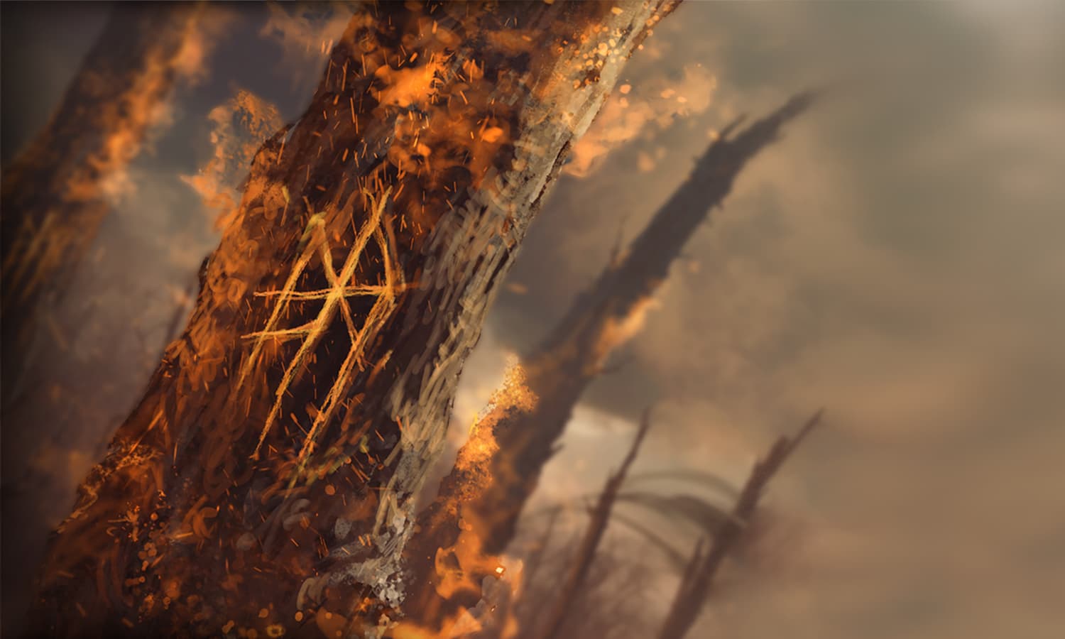 Мещера Фест