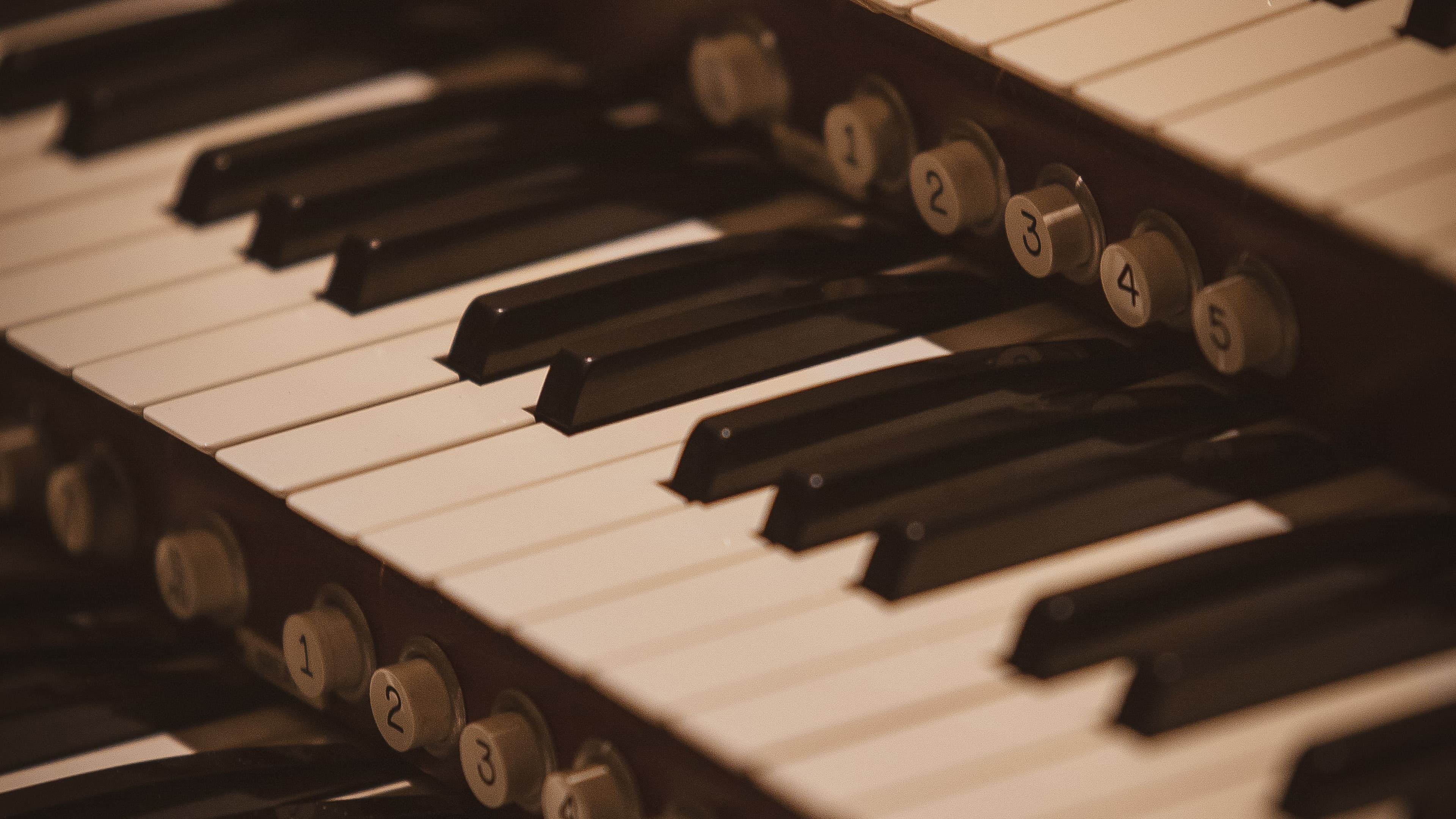 Ave Maria. Орган, хор, солисты