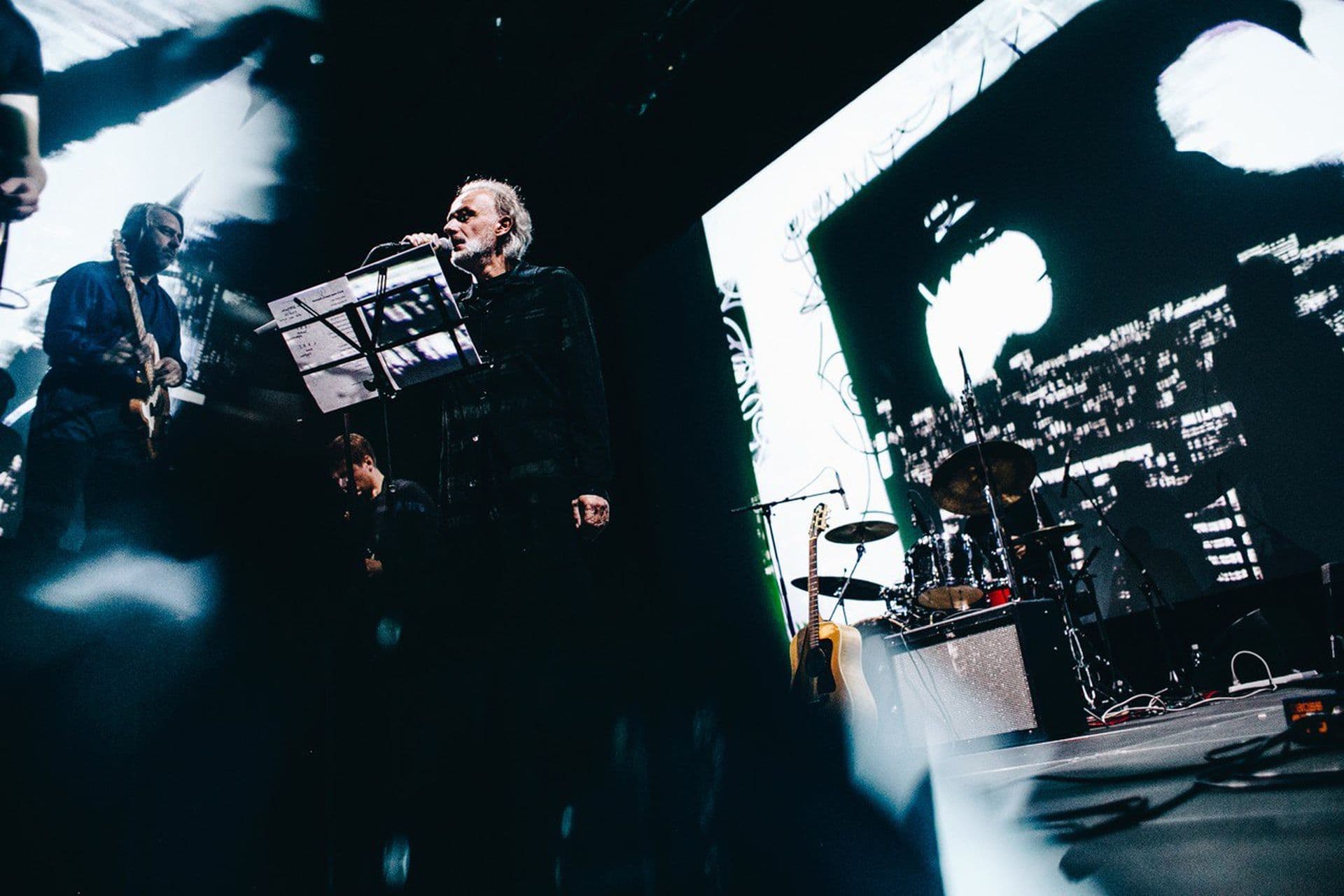 Олег Нестеров & zerolines