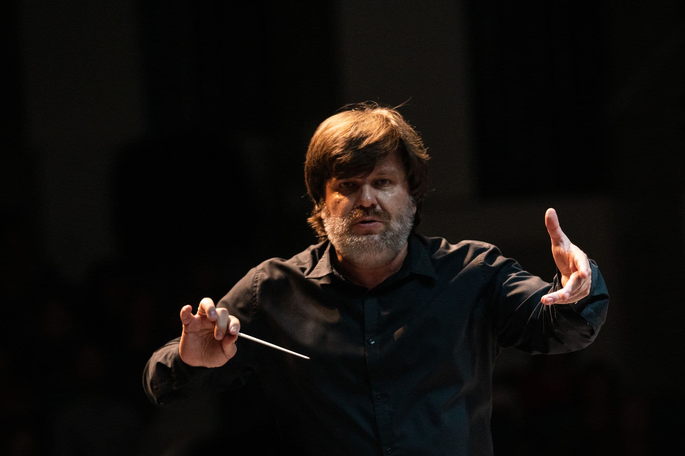 «И.И.» (Идеальный Исполнитель)