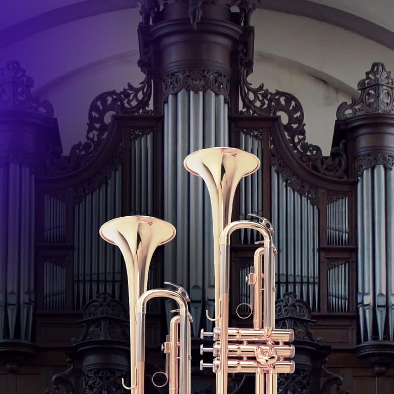 Блестящее барокко: орган и две трубы