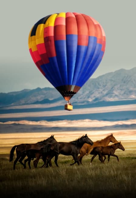 Мужской фестиваль "Кантри Фест"