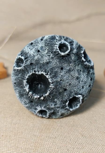 Мастер-класс по лепке из полимерной глины Спутница Земли