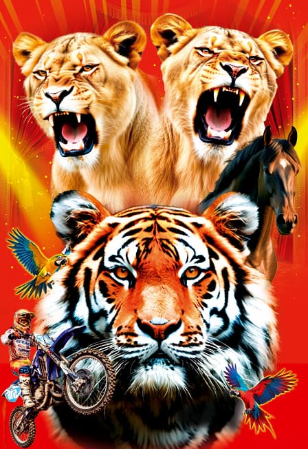 Цирк "Золото Африки" с программой "Тигры среди Львиц"