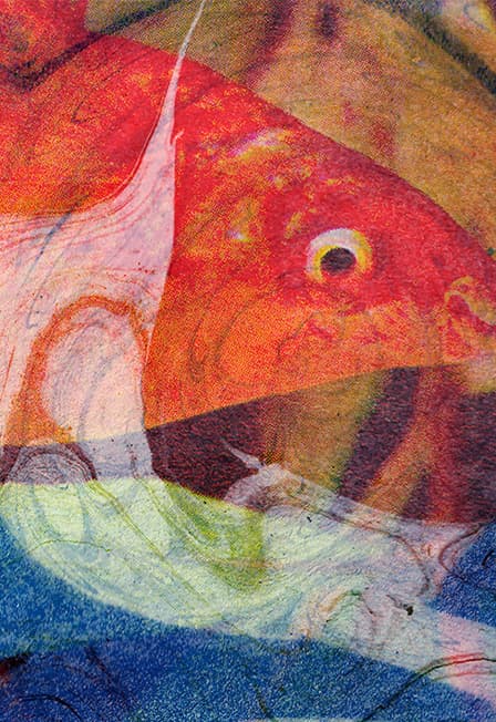 Порез на Собаке - Екатеринбург