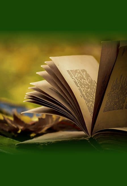 Литературное приключение «Тайны забытых книг»