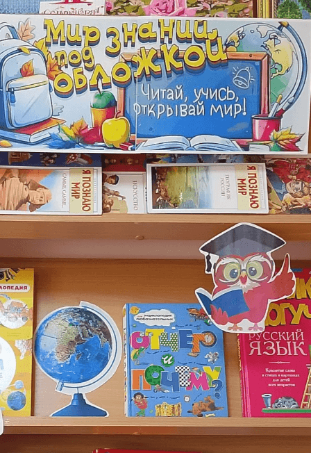 С книгой жить – век не тужить. Интеллектуальная программа