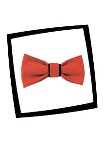 Путешествие улитки вокруг света