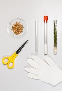 Космический сад