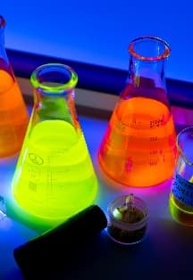 Почему светятся медузы?